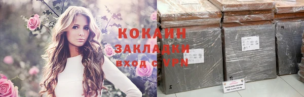 индика Горно-Алтайск