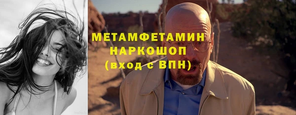 индика Горно-Алтайск