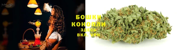 ALPHA PVP Горнозаводск