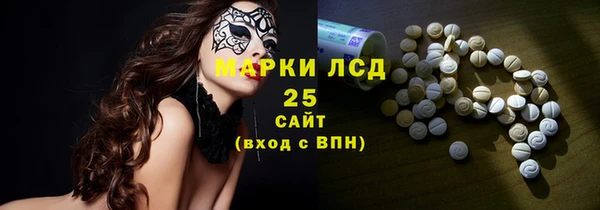 индика Горно-Алтайск