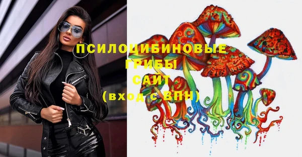 ALPHA PVP Горнозаводск