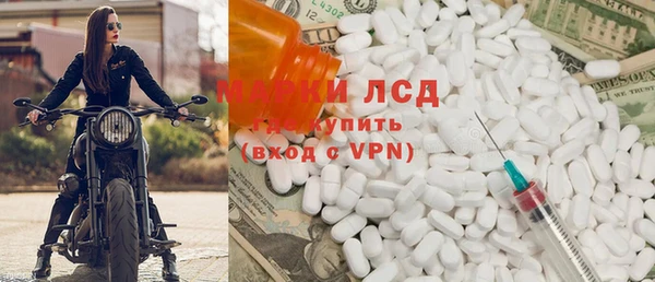 индика Горно-Алтайск