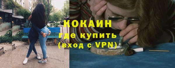 индика Горно-Алтайск