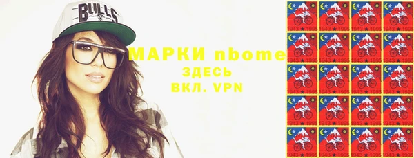 индика Горно-Алтайск